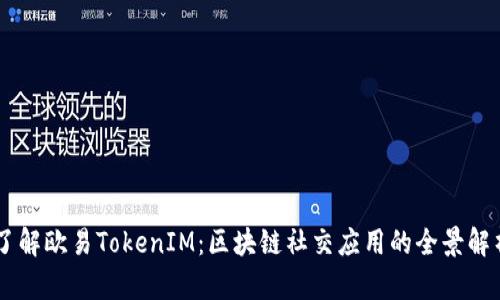 了解欧易TokenIM：区块链社交应用的全景解析