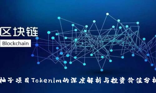 柚子项目Tokenim的深度解析与投资价值分析