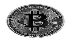   钱包地址只能存比特币吗