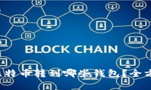 火币网比特币转到哪些钱包？全方位解析！