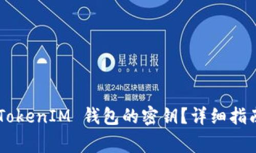 如何找回 TokenTokenIM 钱包的密钥？详细指南与常见问题解答