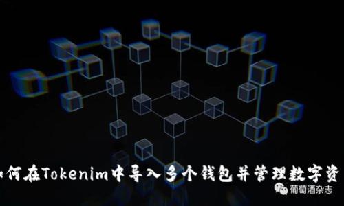 如何在Tokenim中导入多个钱包并管理数字资产